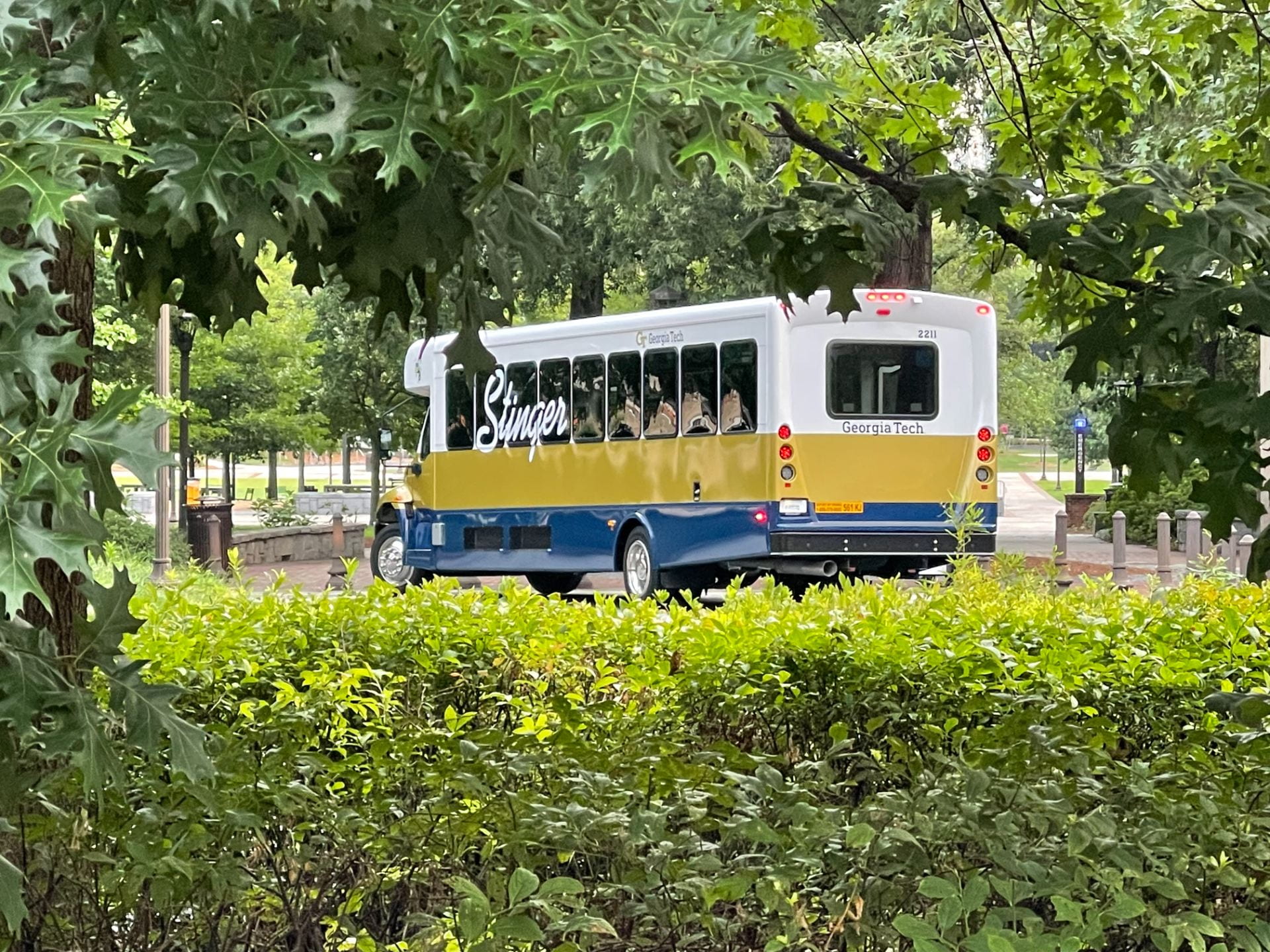 Stinger Bus Viewed Through the Trees